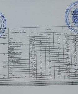 3 апта 2 күн