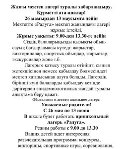 Пришкольный лагерь.